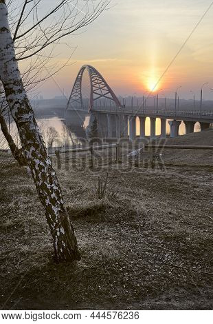 Bugrinskij Bridge With Powerful Legs Over The Ob River In Novosibirsk. The White Trunk Of A Birch, R
