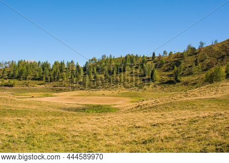 The Laghi Di Festons Alpine Meadow On Sella Festons Near Sauris Di Sopra, Udine Province, Friuli-ven