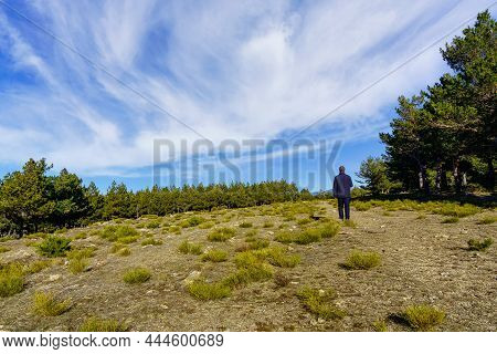 Man Walking Through The Forest With A Dramatic Sky With Large Clouds. Morcuera Madrid.