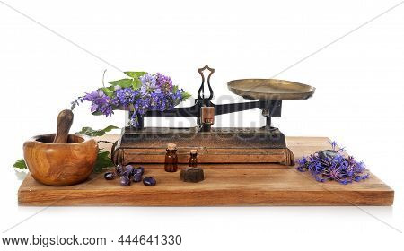 Roberval Balance In Front Of White Background