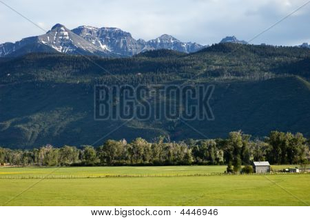 Ranch