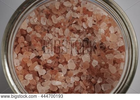 Rose Salt Crystals Inside Glass Petri Dish. Pink Himalayan Salt For Cooking. Himalayan Rock Coarse S