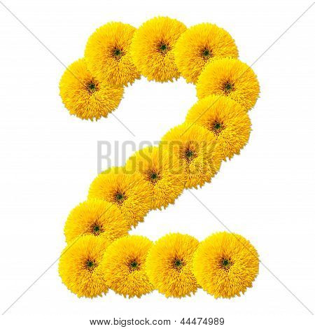 Cifra decimale di fiori
