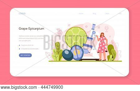 Wine Production Web Banner Or Landing Page. Grape Wine