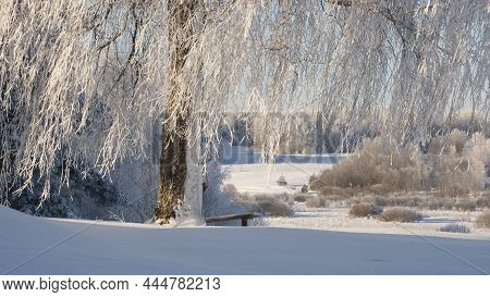 Bench On A Hill Under A Birch Tree In Ice And Snow In Winter On A Frosty Sunny Day, Pushkin, Mountai