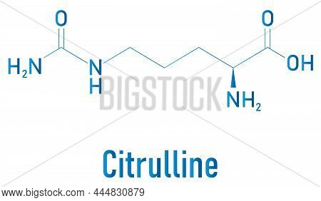 Citrulline Amino Acid Molecule. Present In Some Athletic Dietary Supplements. Skeletal Formula.