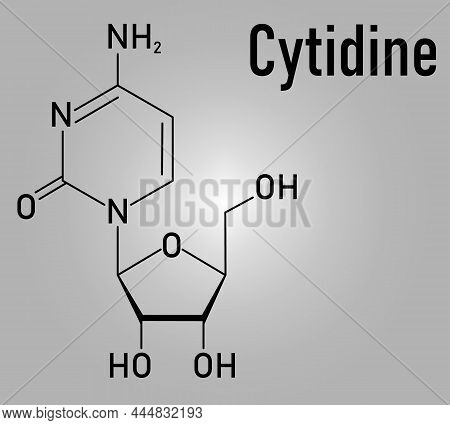 Cytidine Rna Building Block Molecule. Skeletal Formula.