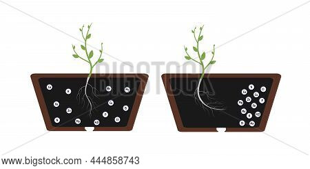 Chemotropism Is Defined As The Growth Of Organisms Navigated By Chemical Stimulus From Outside Of Th