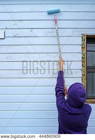 Woman Using Paint Roller To Paint Wall In Blue Paint