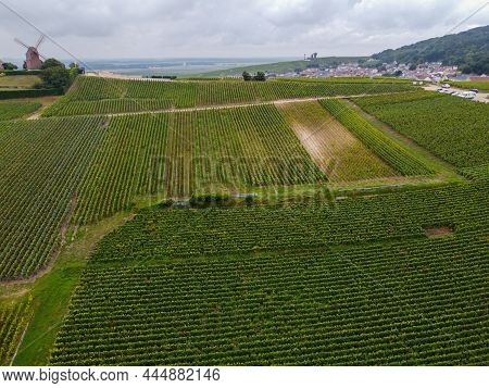 View On Moulin De Verzenay And Green Pinot Noir Grand Cru Vineyards Of Famous Champagne Houses In Mo