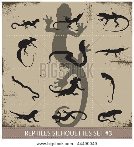 Große Sammlung von Vektor-Reptilien-Silhouetten