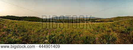 Panorama Of Mt Washburn From Specimen Ridge In Yellowstone National Park