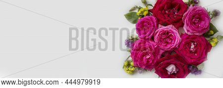 Beautiful Rose Flower In Garden. Rose Flower Background. Roses Flower Texture. Lovely Rose. Roses In
