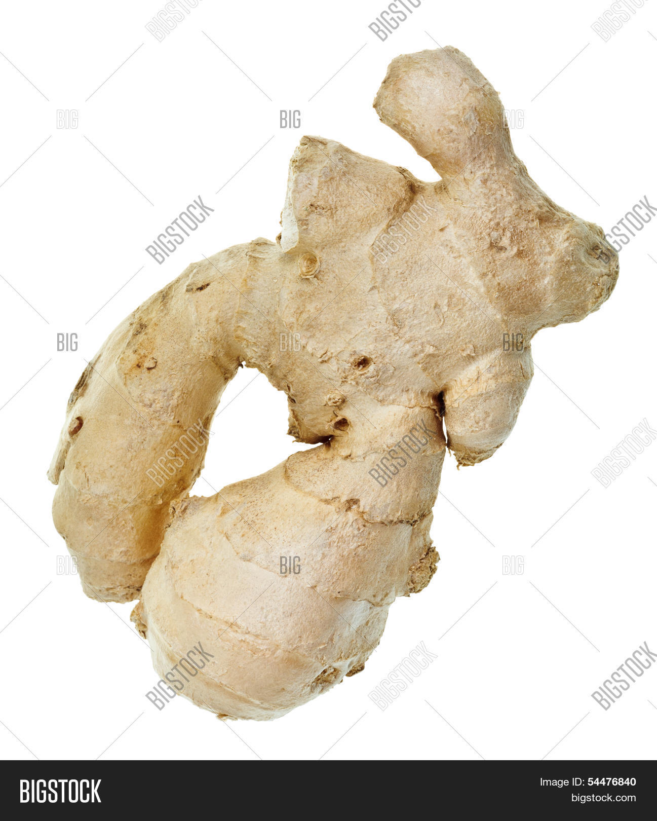 Ginger Root Figging