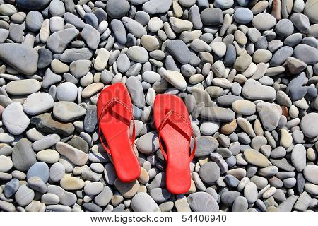 Varicoloured Schists