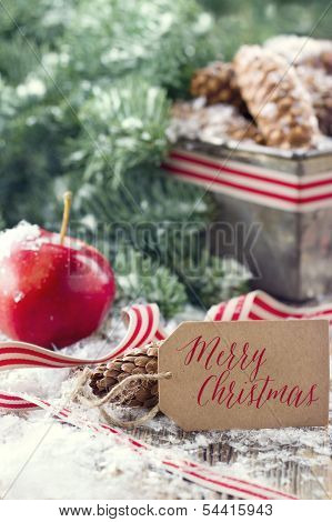 Pine Cones And Green Spruce Tree Branches