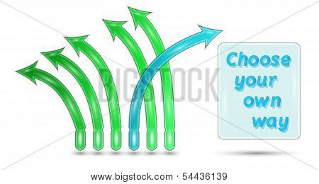 Choose Your Own Way
