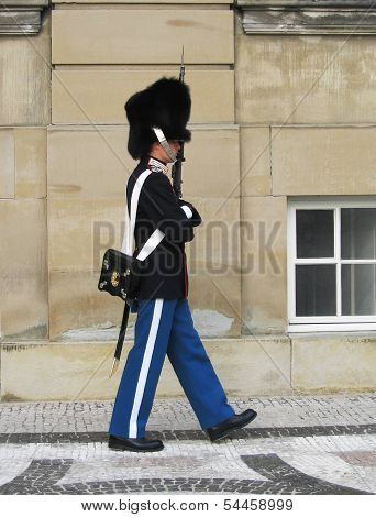Royal Guard guarding Amalienborg Castle in Copenhagen, Denmark