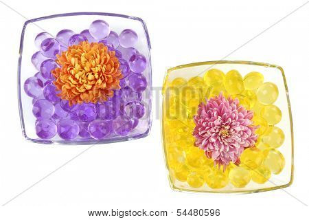 Beautiful flowers in vases with hydrogel isolated on white