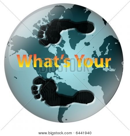 Mondo Footprint