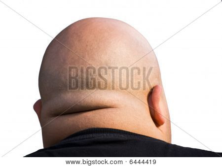Cabeça careca isolada