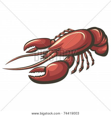 Red Lobster Or Crayfish