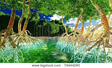 Red mangroves on Florida coast