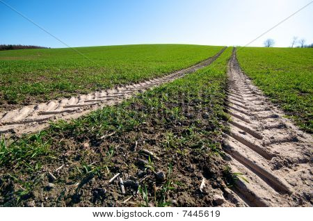 agriculture