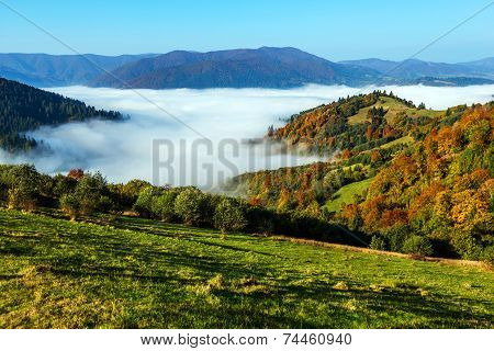 Autumn Landscape
