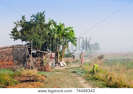 Indian Rural Woman Walking In The Mist