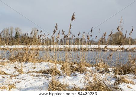 River In Winter