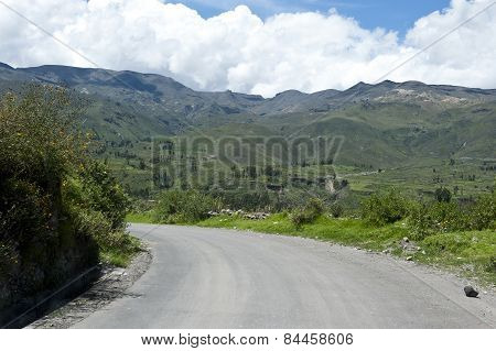 roadway near Arequipa