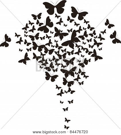 butterflies design