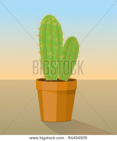 Cactus plant