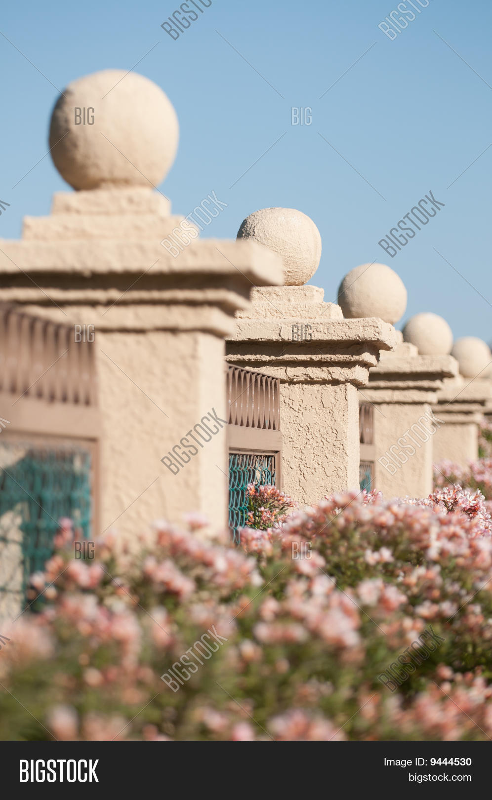 Image Preview