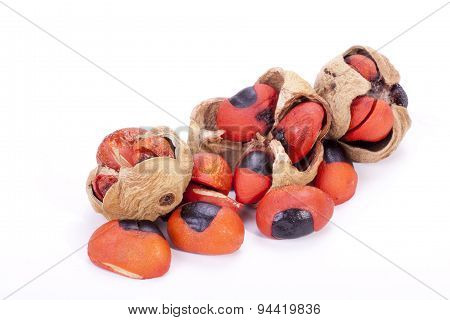 Bright Red Seeds And Pods Of The Natal Mahogany Tree