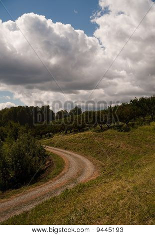 Äppelodling med Road
