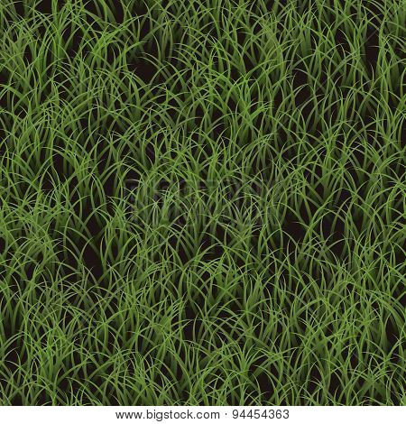Grass Generated Seamless Texture