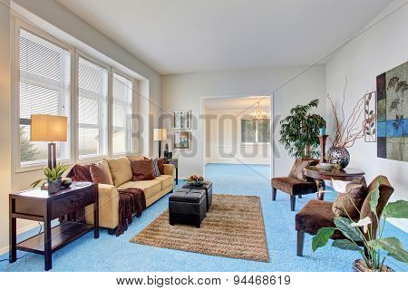 Georgous Living Room With Bright Blue Carpet.