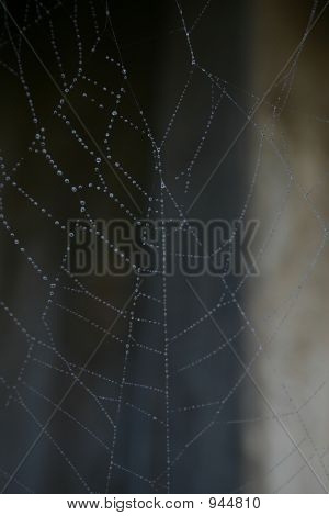 Web