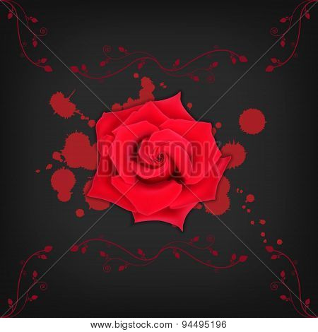 Red rose with splashes