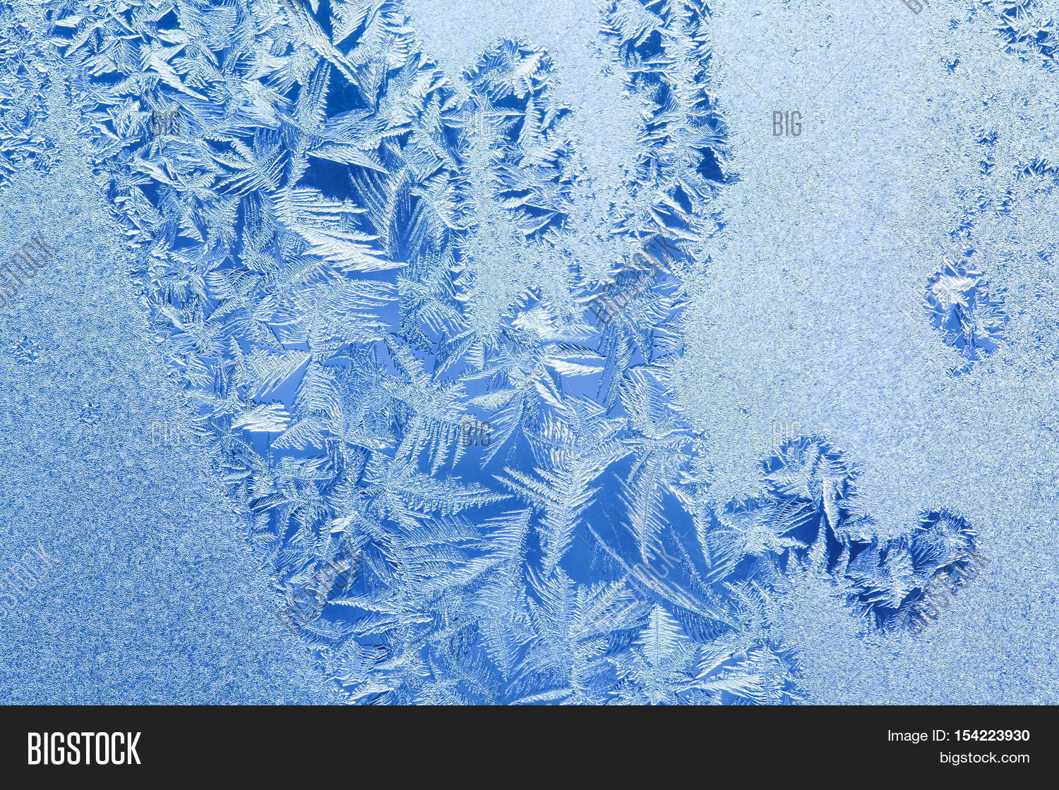 Ice Flowers Frozen Image & Photo (Free Trial) Bigstock