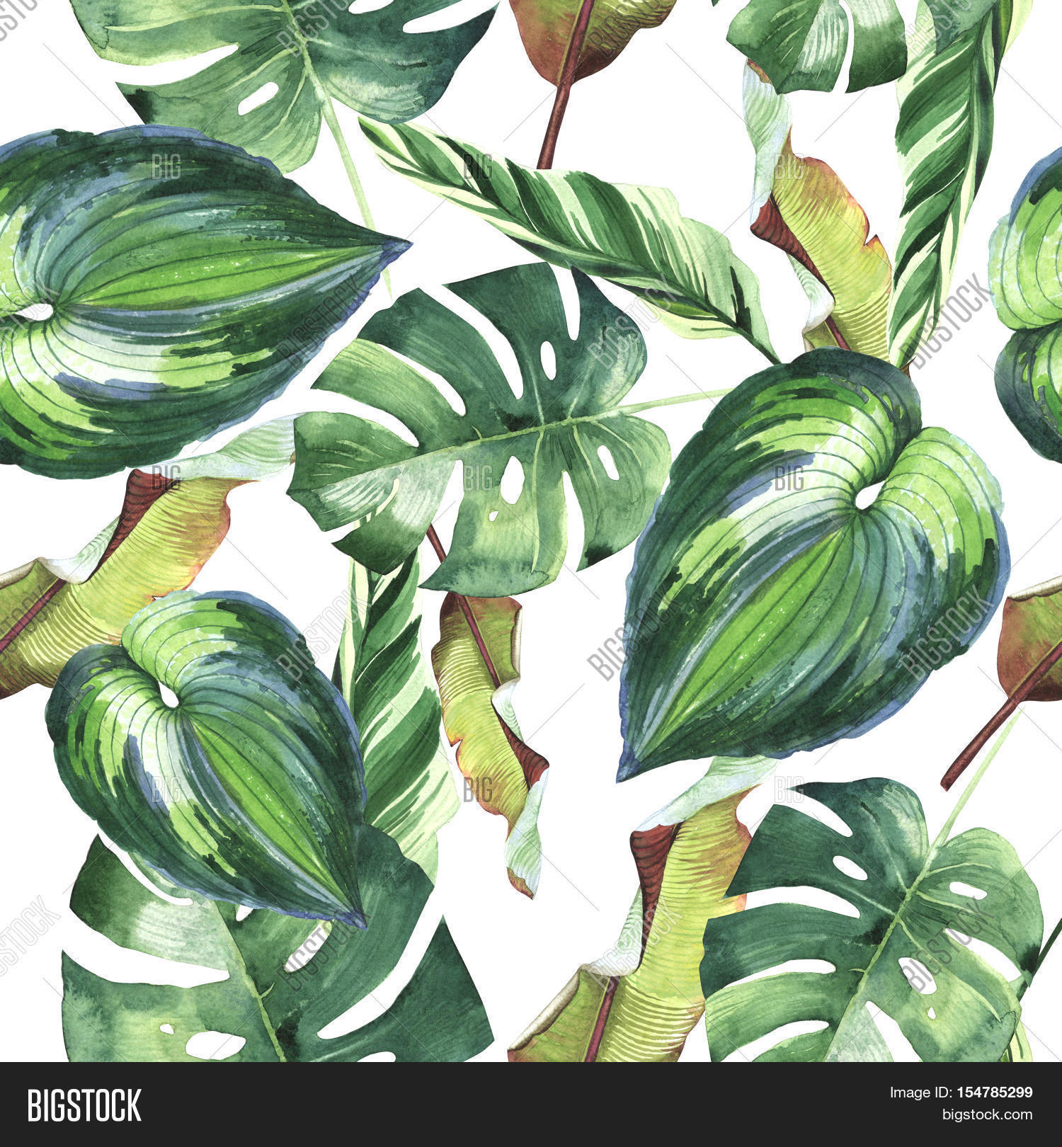 Tropical Hawaii Leaves Image & Photo (Free Trial) | Bigstock