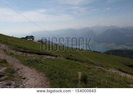 Schafberg, Austrian Alps / Colorful species in the area of Schafberg (Austria)