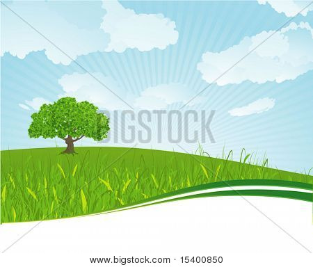Sommer engen. Vector baggrund.
