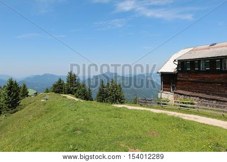 Schafberg, Austrian Alps / Colorful species in the area of Schafberg (Austria)