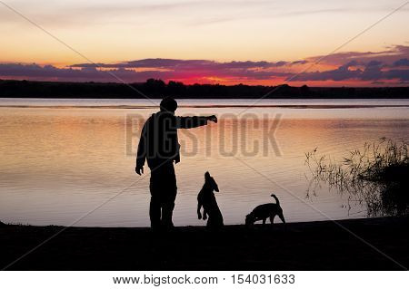 boy is playing with dogs at lake during sunset