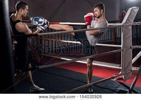 Strait hook. Concentrated young bearded guy standing on ring and working on kick boxing hook together with his trainer in special pad.