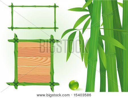 Images de bambou. Vector.