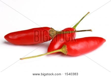 3 칠리